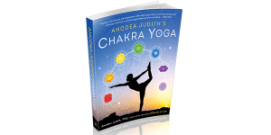 Chakra-yoga-cover-3d-814